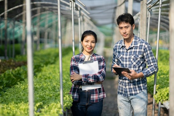 Lutte biologique : les secrets d'un jardin épanoui et sain